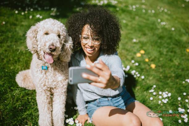 A Young Woman Takes Selfie With Pet Poodle Dog puppysimply