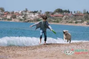 Happy boy running wit her dog on the beach