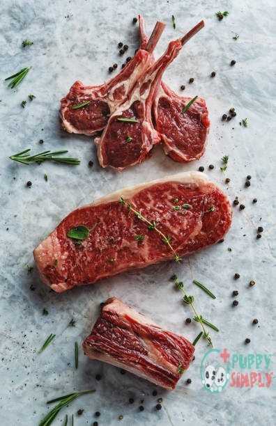 Raw red meat cuts Lamb meats for dogs