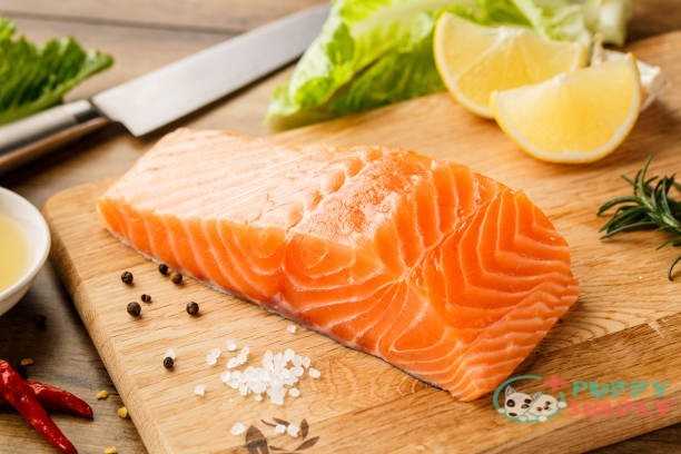 Raw salmon steak Fish meats for dogs