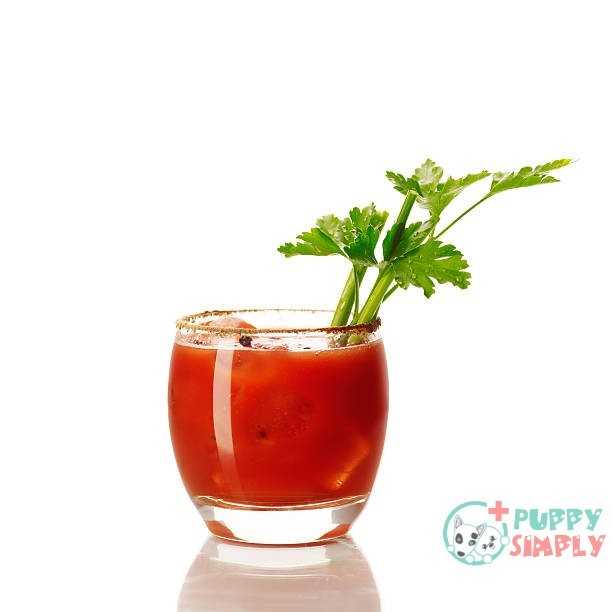 bloody Mary cocktail Common Misconceptions When Removing Skunk Smell