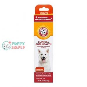 arm hammer dog dental care toothpaste for dogs no more bad doggie breath safe for puppies