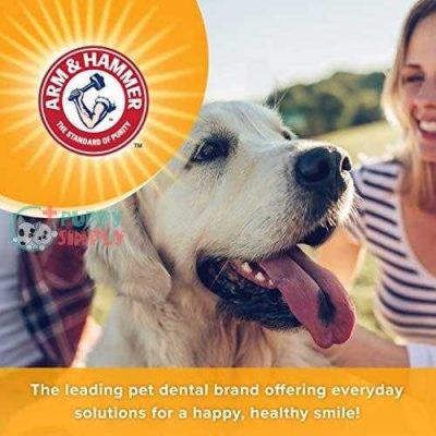 arm hammer dog dental care toothpaste for dogs no more bad doggie breath safe for puppies 5