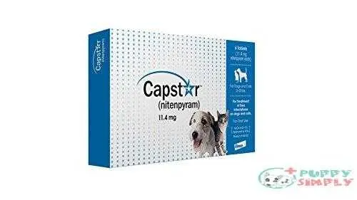 Capstar Fast-Acting Oral Flea Treatment