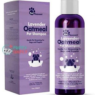 colloidal oatmeal dog shampoo with pure lavender essential oils no tear shampoo for dry itchy skin relief pet odor eliminator grooming shampoo
