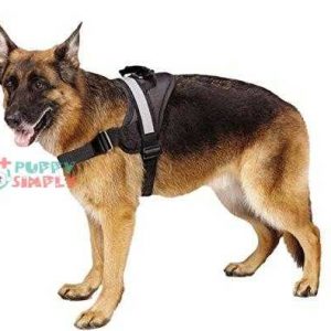 expawlorer big dog harness soft reflective no pull vest for medium to large dogs