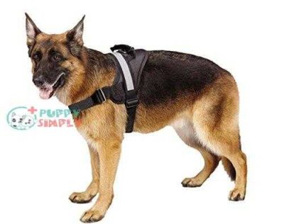 expawlorer big dog harness soft reflective no pull vest for medium to large dogs