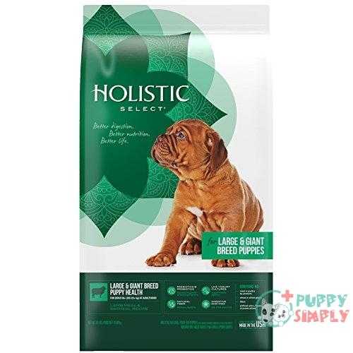 Holistic Select Natural Dry Dog