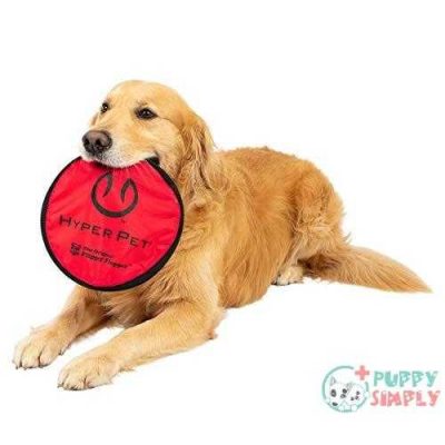hyper pet flippy flopper dog frisbee interactive dog toys flying disc dog fetch toy floats in water safe on teeth colors will vary