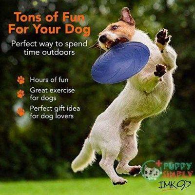 imk9 dog flying disc toy for small medium or large dogs soft natural rubber disk for safety best color toys for dogs to see heavy duty aerodynamic design for outdoor flight 6