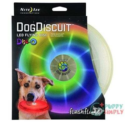 nite ize flashflight dog discuit disco led light up flying disc frisbee new