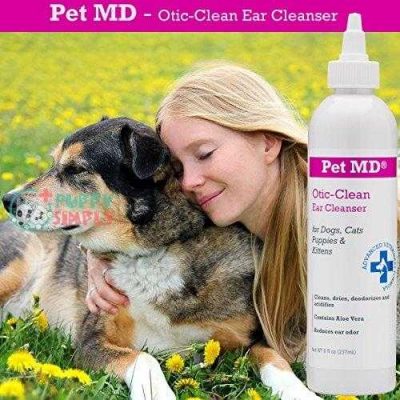 pet md otic clean dog ear cleaner for cats and dogs effective against infections caused by mites yeast itching and controls odor 8 oz 2