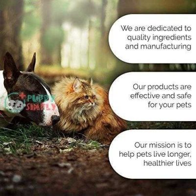 pura naturals pet organic dental solutions adult natural dog toothgel and toothbrush no harsh ingredients eco friendly one size brush 0 8 ounce gel 6