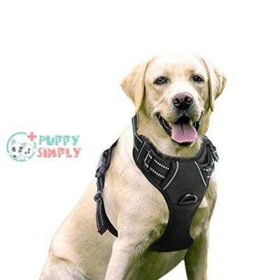 rabbitgoo dog harness no pull pet harness adjustable outdoor pet vest 3m reflective oxford material vest for dogs easy control for small medium large dogs