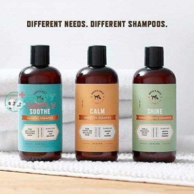 rocco roxie dog shampoos for all dogs soothe oatmeal shampoo for dry itchy skin calm hypoallergenic shampoo for sensitive skin and shine argan oil conditioning shampoo 5