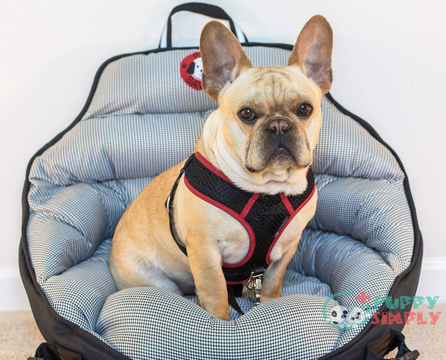 PupSaver Booster Car Seat for