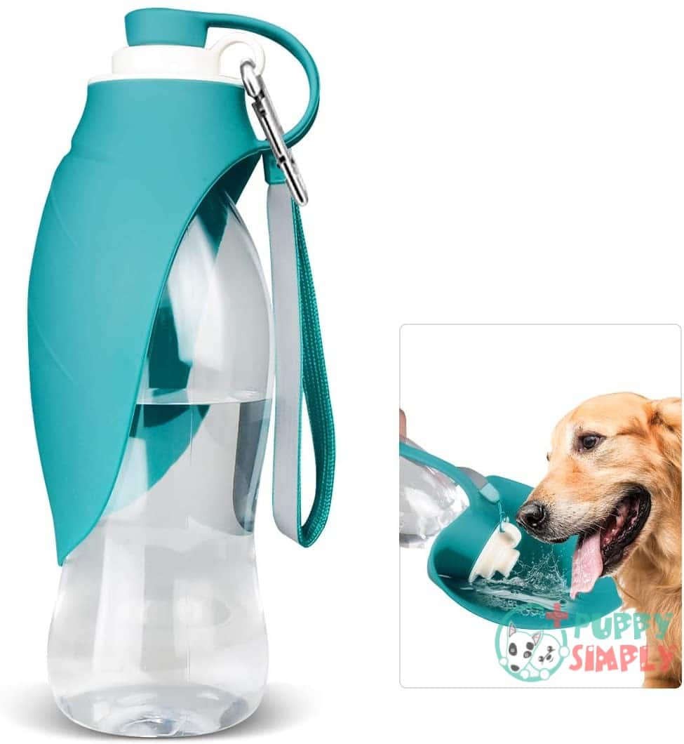 Dog Water Bottle for Walking,
