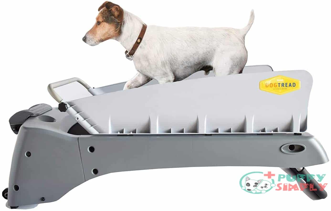 DogTread Premium Small Dog Treadmill