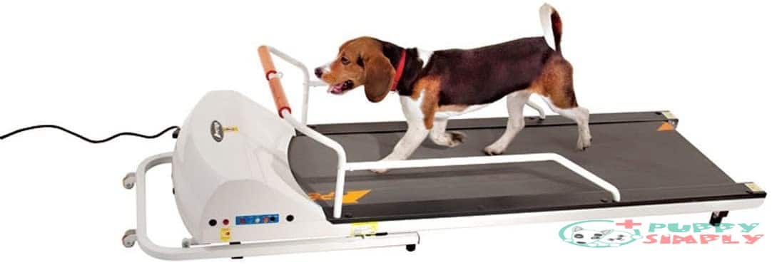 GOPET PetRun PR720F Dog Treadmill B002PJHDC2