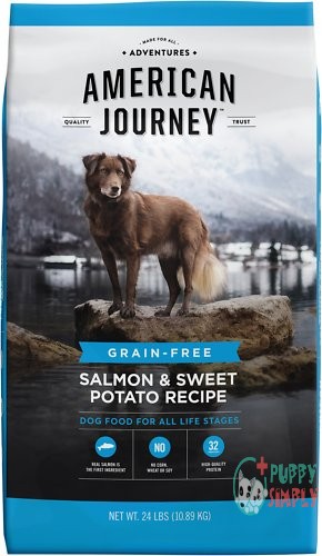American Journey Salmon & Sweet 135821