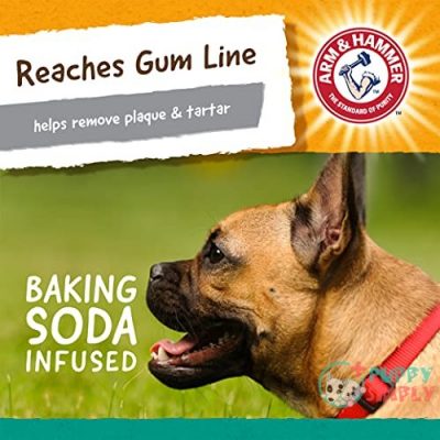 Arm & Hammer For Pets B01H4B9S8W3