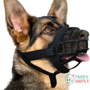 BARKLESS Dog Muzzle, Silicone Basket B09BZ4PXVL