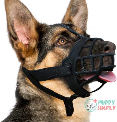 BARKLESS Dog Muzzle, Silicone Basket B09BZ4PXVL