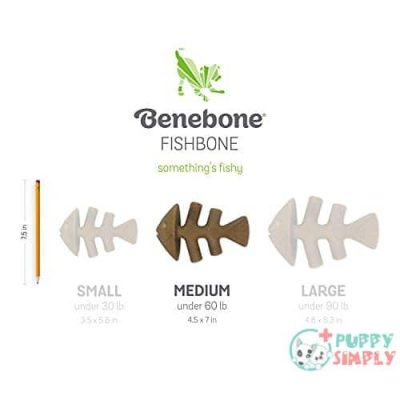 Benebone Fishbone Dog Chew Toy B09B2Y2G4K6