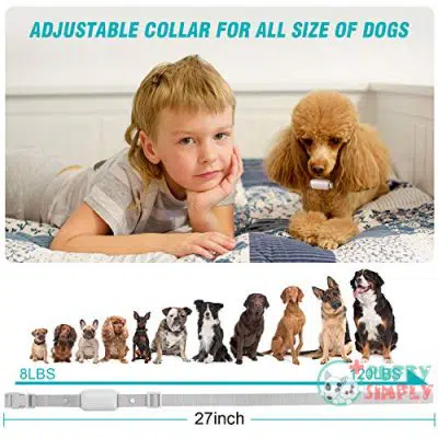 Bousnic Shock Collar for Dogs B082FKYGNP4