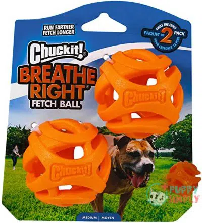 Chuckit! Breathe Right Fetch Ball B07D3FZ15J