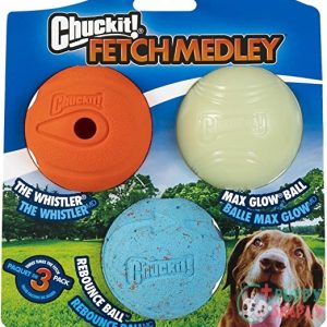 Chuckit! Fetch Ball Medley, Medium, B002TLTZD6