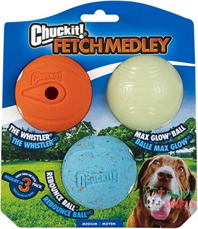 Chuckit! Fetch Ball Medley, Medium, B002TLTZD6