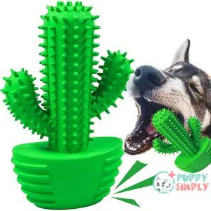 Dog Chew Toys Dog Toothbrush B084QCZGN4