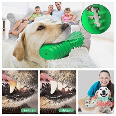 Dog Chew Toys Dog Toothbrush B084QCZGN42