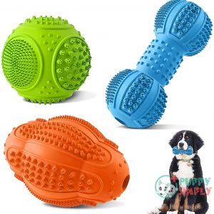 Dog Chew Toys, Dog Toys B095WTK6K3