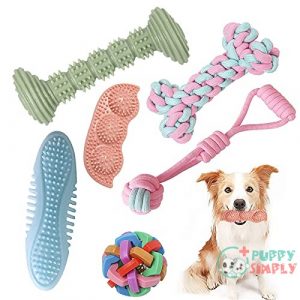Dog Chew Toys for Large B096TGPC12
