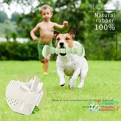 Dog Chew Toys for Large B096TGPC124