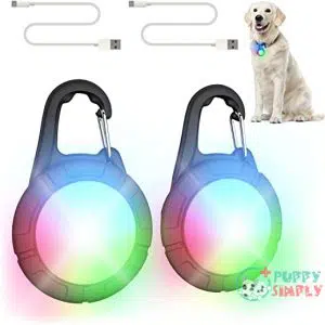 Dog Lights for Night Walking,Rechargeable B09HZ43VNC
