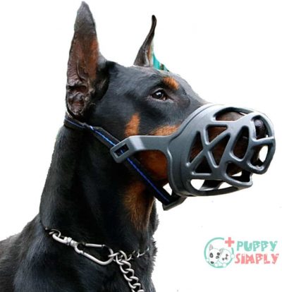 Dog Muzzle, Breathable Basket Muzzles B07QRTRLN4