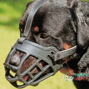 Dog Muzzle,Soft Basket Silicone Muzzles B073YZZ3XV