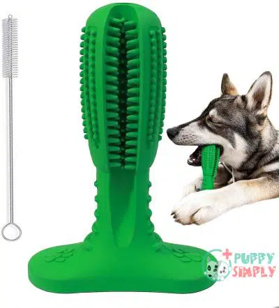 Dog Toothbrush Toy for Dog B092H1P7SY