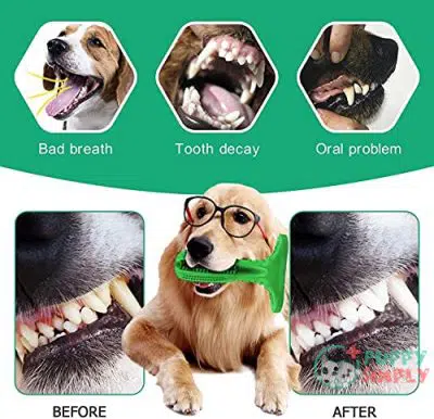 Dog Toothbrush Toy for Dog B092H1P7SY3