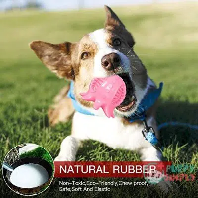 Dog Toy Ball Tooth Cleaning B0915GZBWJ2
