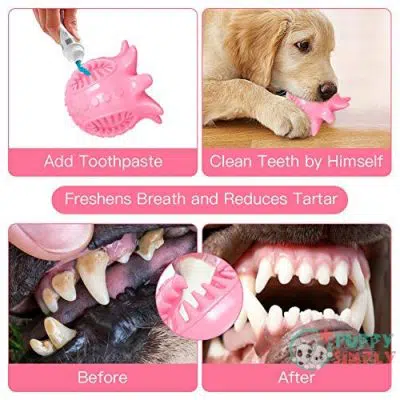 Dog Toy Ball Tooth Cleaning B0915GZBWJ3