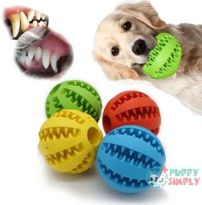 Dog Toy Ball Toothbrush for B08ZYKC23L