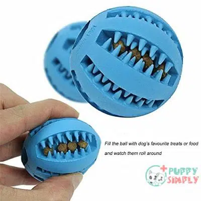 Dog Toy Ball Toothbrush for B08ZYKC23L3