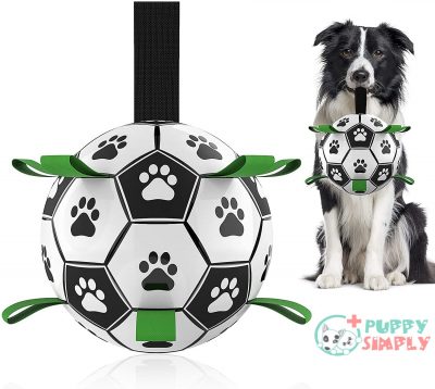 Dog Toys Soccer Ball with B08RJ63P1X