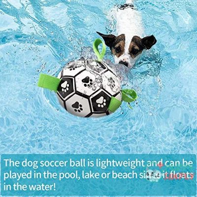 Dog Toys Soccer Ball with B08RJ63P1X2