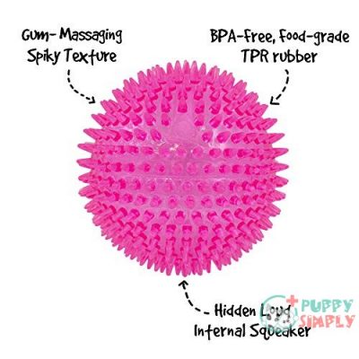 Gnawsome 4.5” Spiky Squeaker Ball B00EPDRJNE2