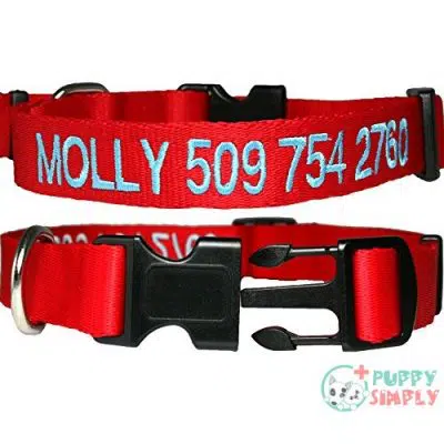 GoTags Personalized Dog Collar, Custom B0075RW2KC3
